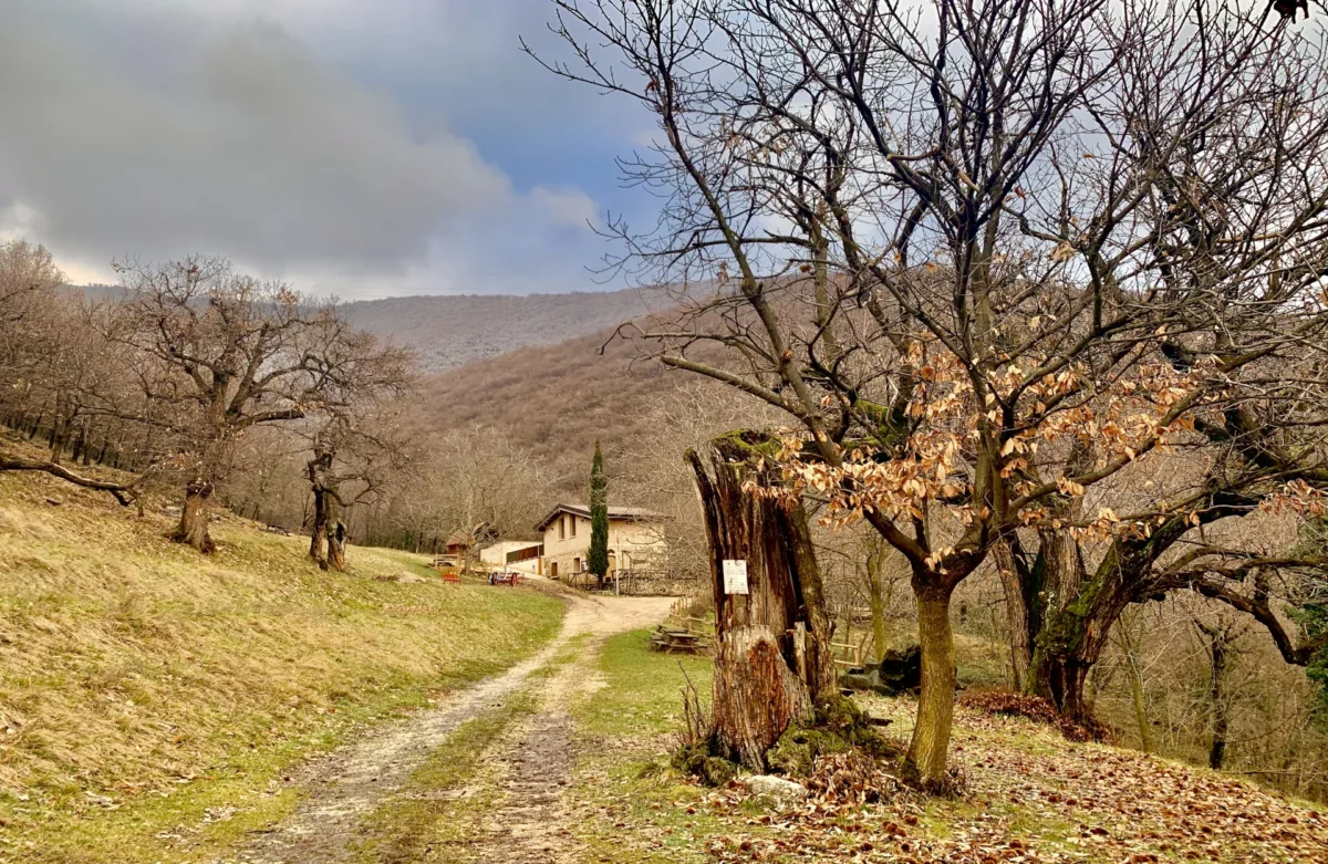 Sentiero del Castagneto da Frutto e Casa Natura - immagine 3