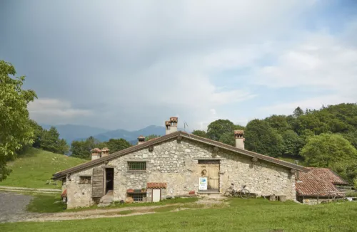 azienda-agricola-pesei