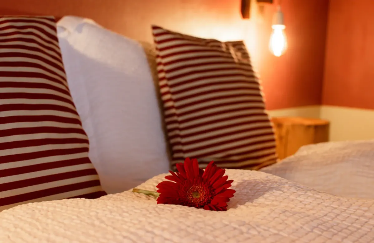 Casa Vacanze Ludizzo - immagine 5