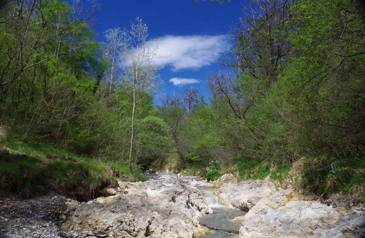 Da Caino alla Val Bertone - immagine 4