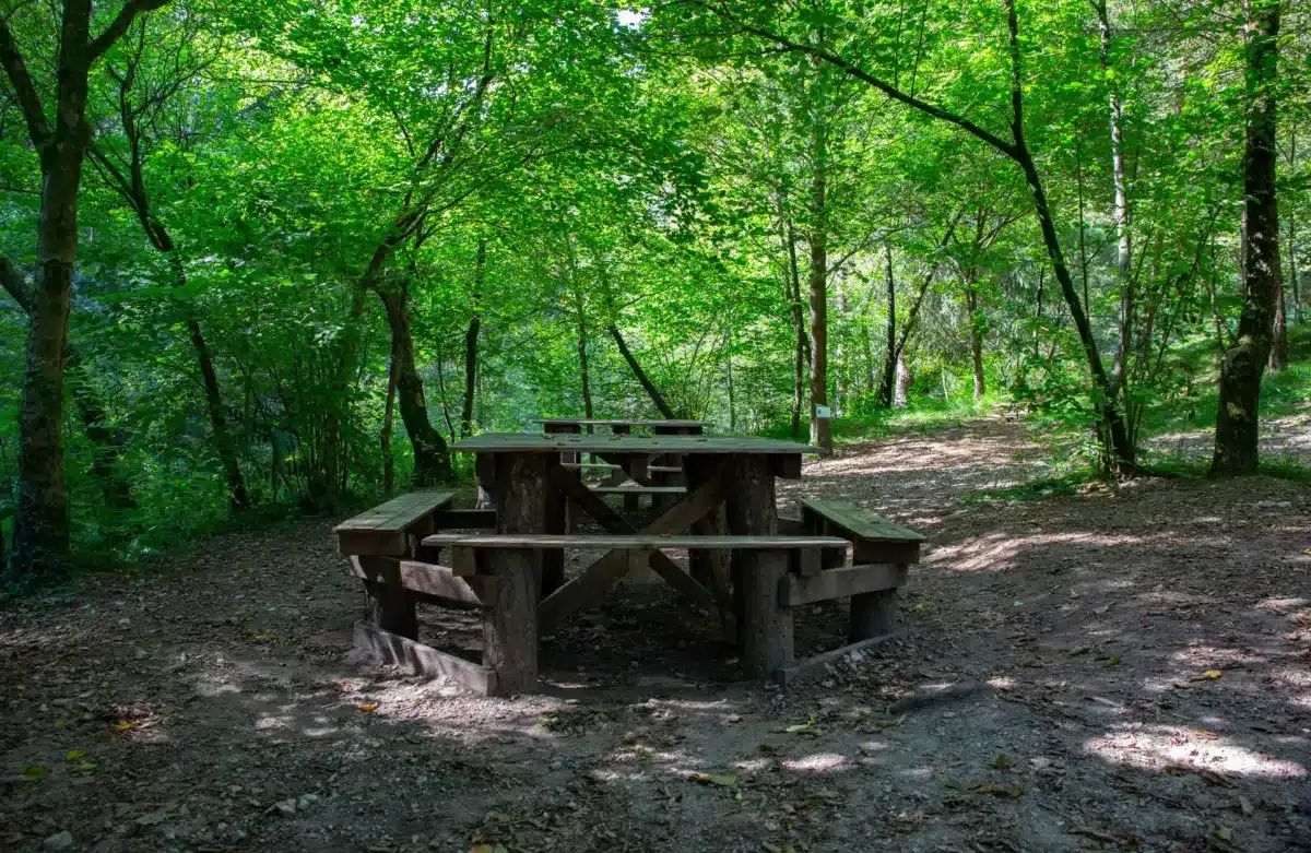 Da Caino alla Val Bertone - immagine 6