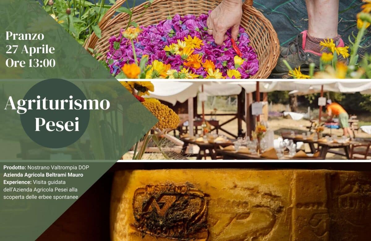 Pranzo all'Agriturismo Pesei