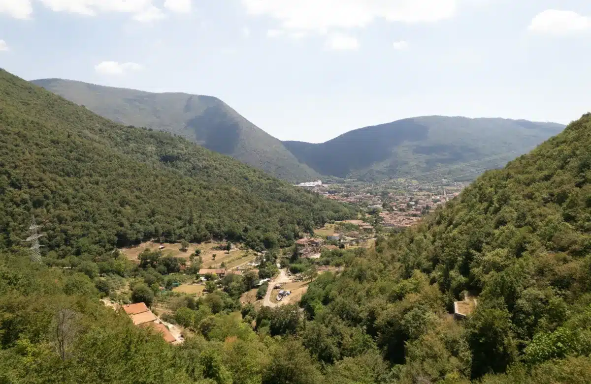 Fuori Luogo 2024