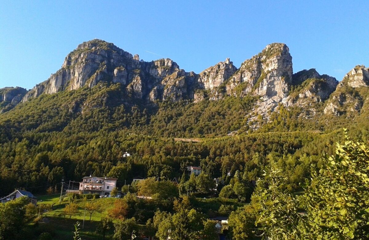 Pineta_Lodrino