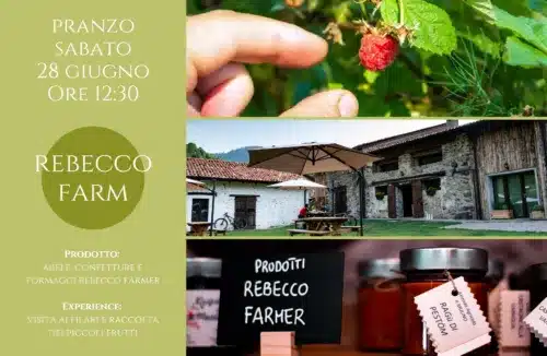 Pranzo alla Rebecco Farm con visita ai filari e raccolta dei piccoli frutti