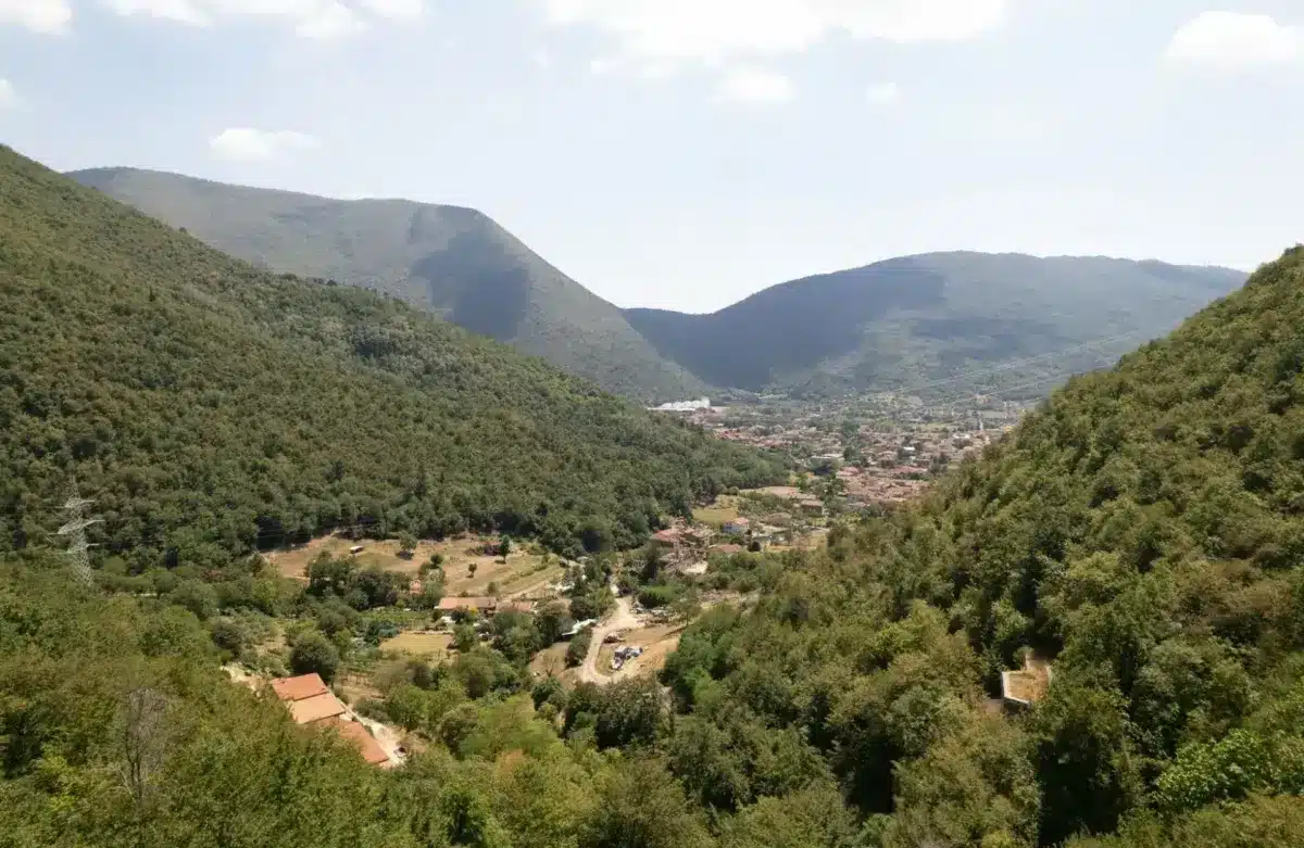 panoramica-nave
