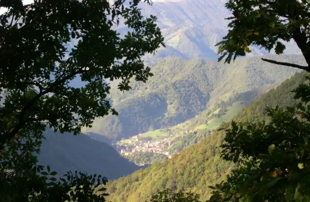 Collio-panoramica