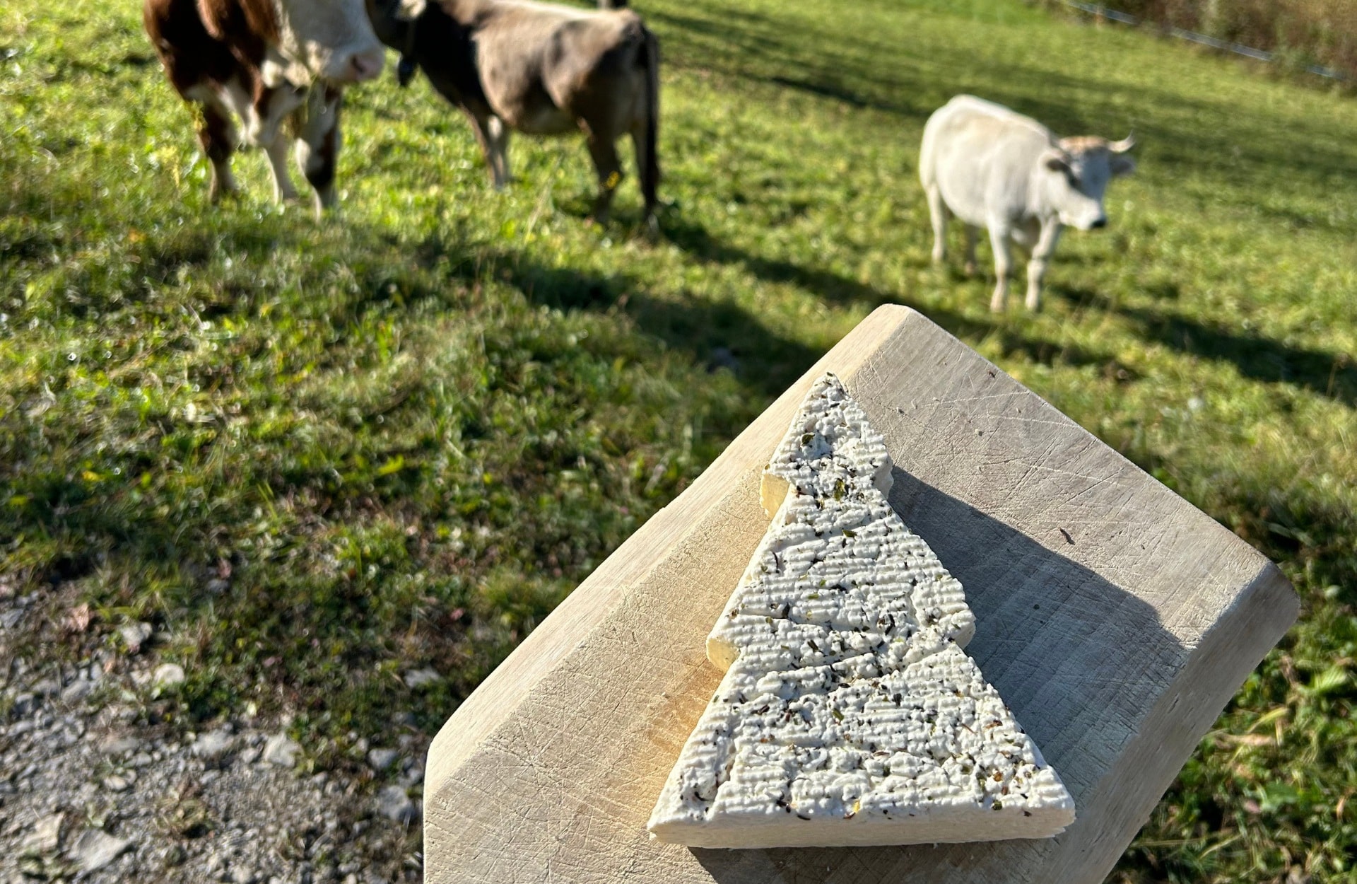 Azienda Agricola Pe Mattia - immagine 5